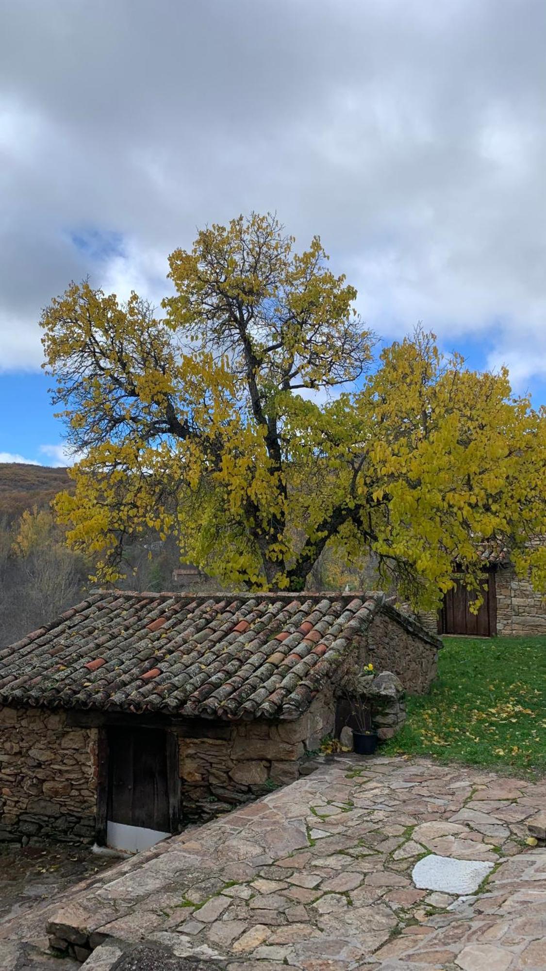Al Viento, Alojamiento & Turismo Rural Прадена-дель-Ринкон Экстерьер фото