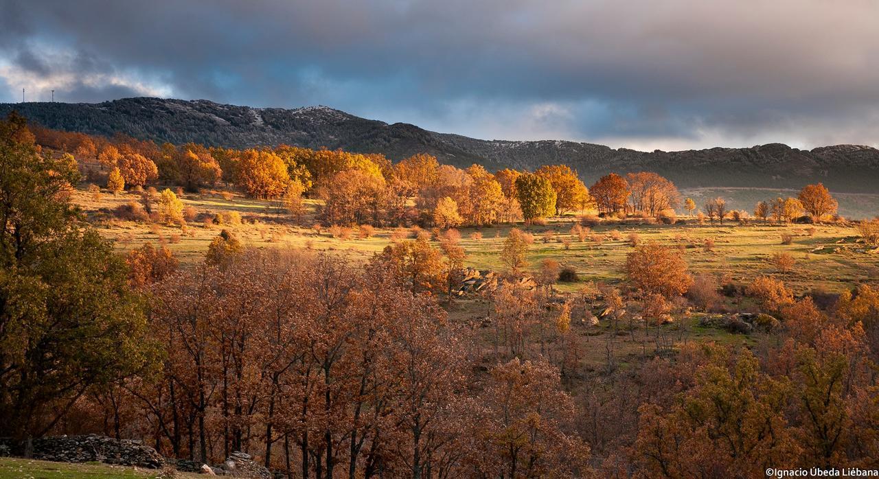 Al Viento, Alojamiento & Turismo Rural Прадена-дель-Ринкон Экстерьер фото